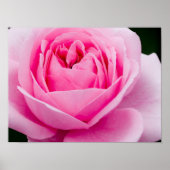 Poster rose Pastel (Devant)