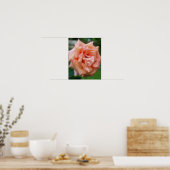 Poster Rose pêche tacheté en fleurs (Cuisine)