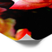 Poster Rose peint (Coin)