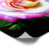 Poster Rose peint (Coin)