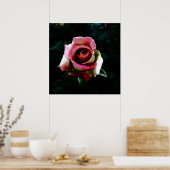 Poster Rose peinte à l'huile (Cuisine)