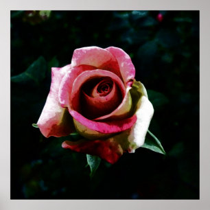 Poster Rose peinte à l'huile