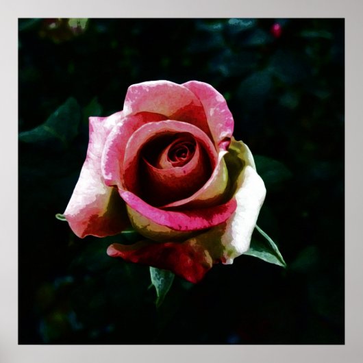 Poster Rose peinte à l'huile (Devant)
