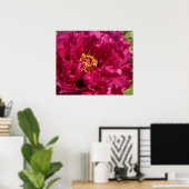 Poster rose Peony Imprimer (Bureau à domicile)