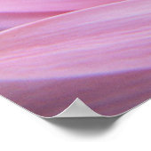 Poster rose pétale (Coin)