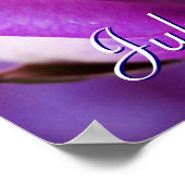 Poster Rose pourpre (Coin)