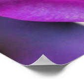 Poster Rose pourpre (Coin)