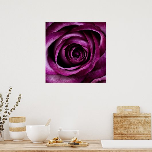Poster Rose pourpre (Cuisine)