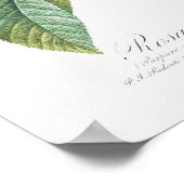 Poster Rose pourpre Rosa Gallica Pierre Joseph Redoute (Coin)