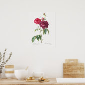 Poster Rose pourpre Rosa Gallica Pierre Joseph Redoute (Cuisine)