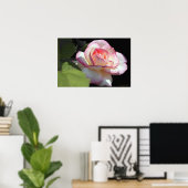 Poster Rose Princess (Bureau à domicile)