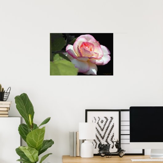 Poster Rose Princess (Bureau à domicile)