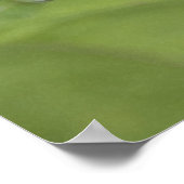 Poster Rose Princess (Coin)