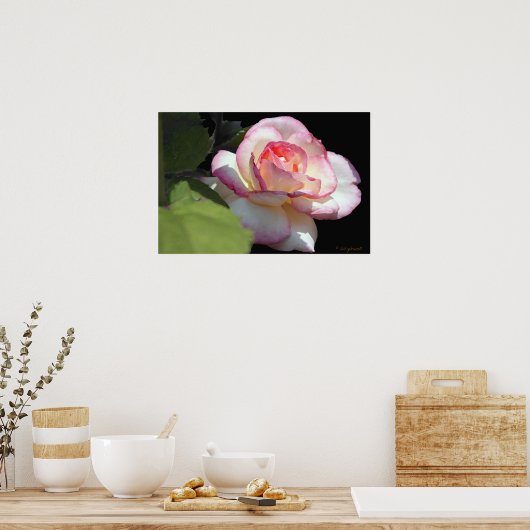 Poster Rose Princess (Cuisine)