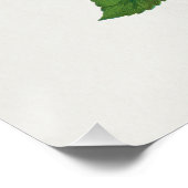 Poster Rose Print Rochester Lithographing and Printing Co (Coin)