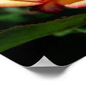 Poster Rose Rêve Réalisé (Coin)