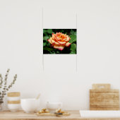 Poster Rose Rêve Réalisé (Cuisine)