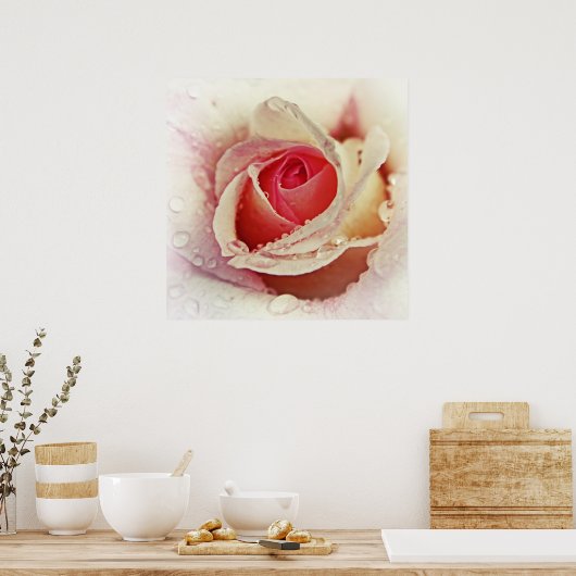 Poster Rose romantique avec Raindrops Flower Macro (Cuisine)