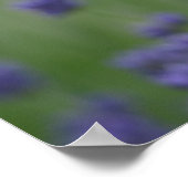 Poster Rose romantique et lavande (Coin)