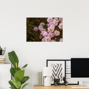 Poster Rose romantique rose