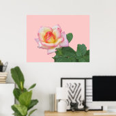 Poster Rose rose 2 tons (Bureau à domicile)