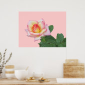 Poster Rose rose 2 tons (Cuisine)