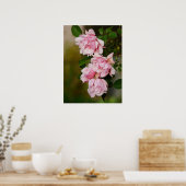 Poster Rose rose Albertine (Cuisine)