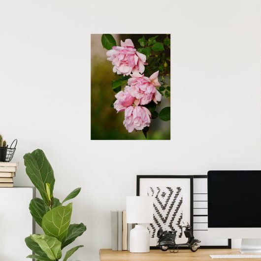 Poster Rose rose Albertine (Bureau à domicile)