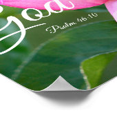 Poster Rose Rose Blossom Be Still Psaum 46:10 (Coin)