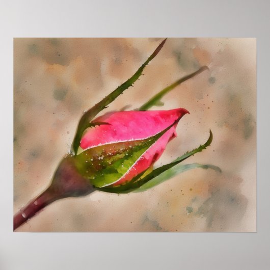 Poster Rose Rose Bud Jardin Aquarelle Style Art (Devant)