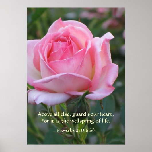 Poster Rose Rose Bud ~ Proverbes 4:23 (Devant)