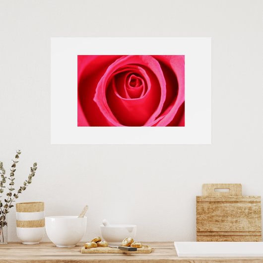 Poster Rose rose chaud (Cuisine)