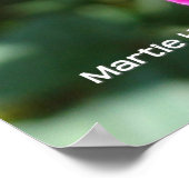 Poster Rose rose chaud (Coin)