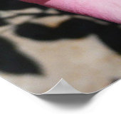 Poster Rose rose et bud Garden Floral (Coin)