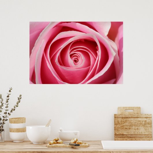 Poster Rose rose foncé 01 (Cuisine)