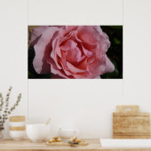 Poster Rose rose II Plutôt Floral (Cuisine)