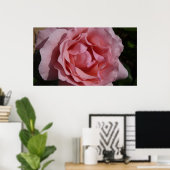 Poster Rose rose II Plutôt Floral (Bureau à domicile)