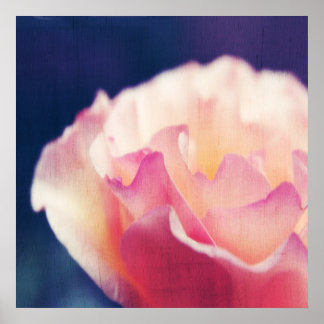 Poster Rose rose romantique sur toile Macro abstrait