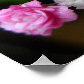 Poster Rose rose rose (Coin)