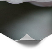 Poster Rose rose rose (Coin)