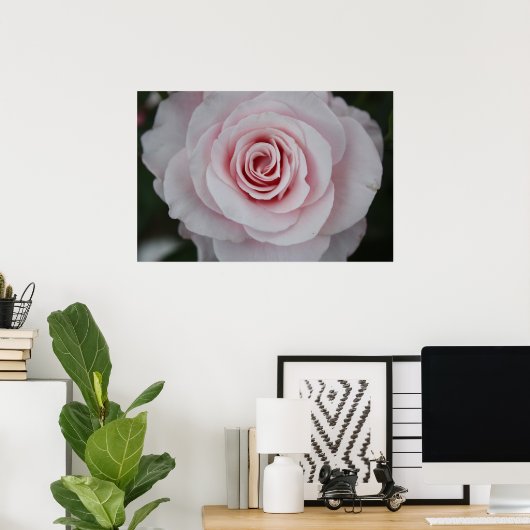 Poster Rose rose rose (Bureau à domicile)