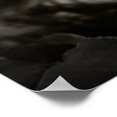 Poster rose rose rose (Coin)