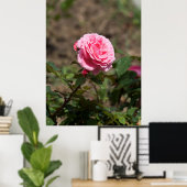 Poster Rose rose rose (Bureau à domicile)
