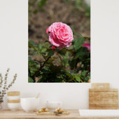 Poster Rose rose rose (Cuisine)