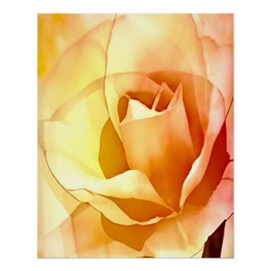 Poster rose rose rose jaune Aquarelle Style brilla (Devant)