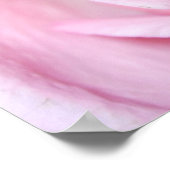 Poster Rose rose, S Cyr (Coin)