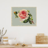 Poster Rose rose vintage (Cuisine)
