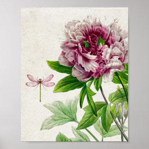 Poster Rose rose vintage et murale de libellules