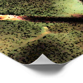 Poster rose Roses - Photo numérique Floral Art (Coin)