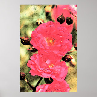 Poster rose Roses - Photo numérique Floral Art